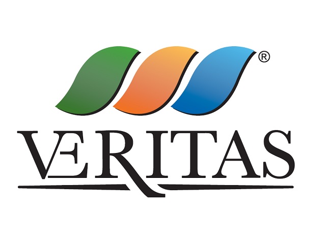 Gruppo Veritas